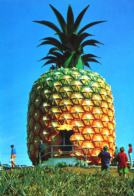 the_big_pineapple.jpg